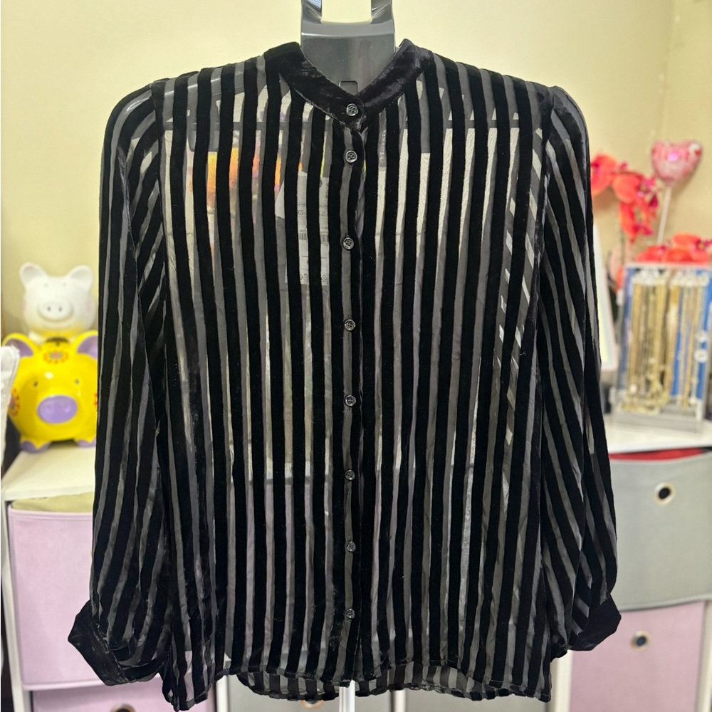 Zara Black Striped Sheer- Velvet Blouse
